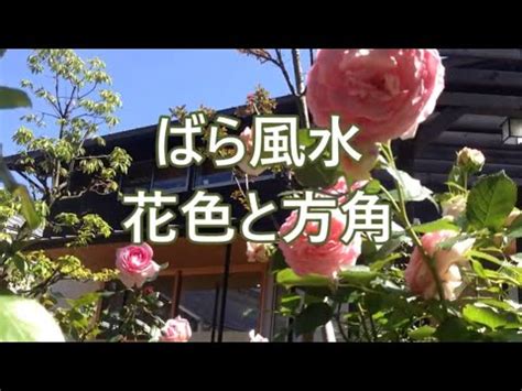 薔薇 風水|ガーデニングの風水！大地から良い気を取り入れて幸。